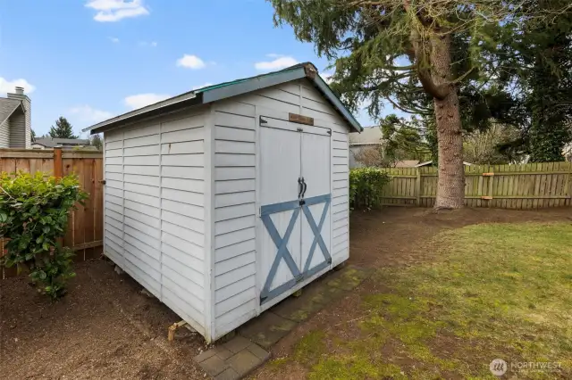 Backyard Shed