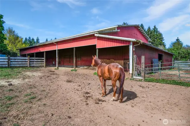 Paddock area, horses in most of the fields.