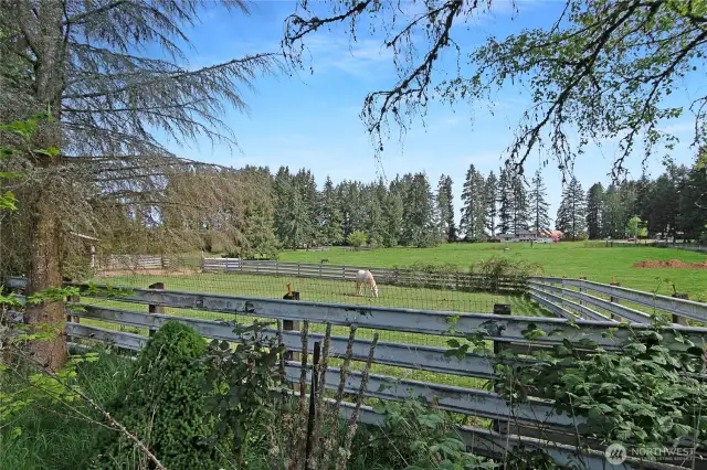 one of the paddocks