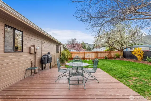 Spacious Deck
