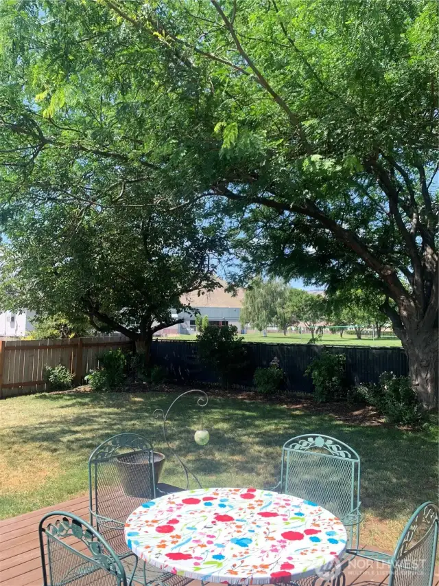 Beautiful Shade Trees