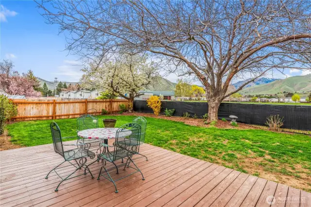 Private Backyard