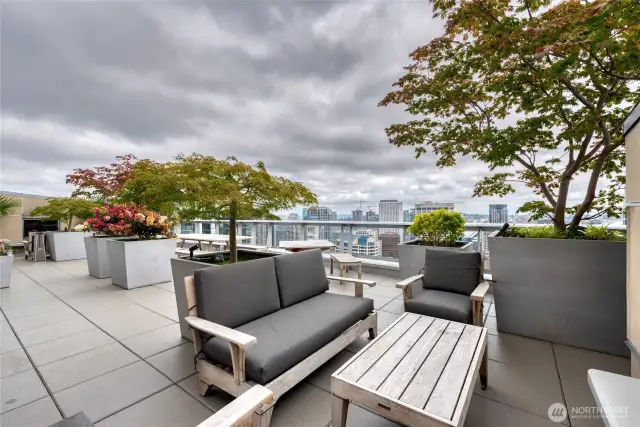 East facing deck with Two BBQs and two fireplaces