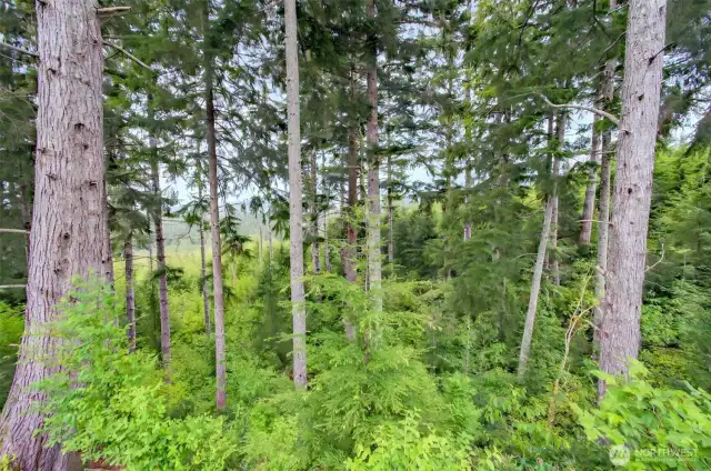 Beautiful stand