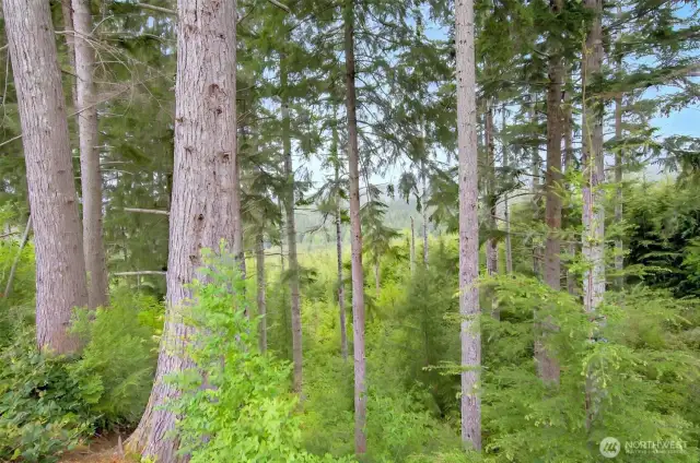 Beautiful Stand