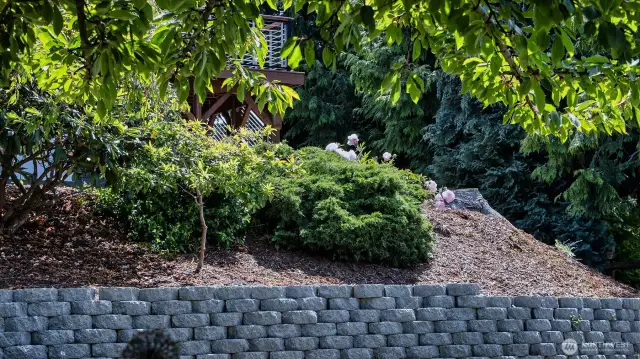Terraced pavers define garden spaces at the front terraces and in the back enclosed garden. Well done.