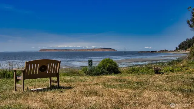 Memorial Park - a community beach a short jaunt from 220 Colman
