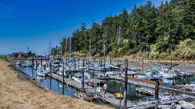 Cape George marina at low tide