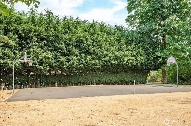 Sports court conveniently next to the clubhouse.