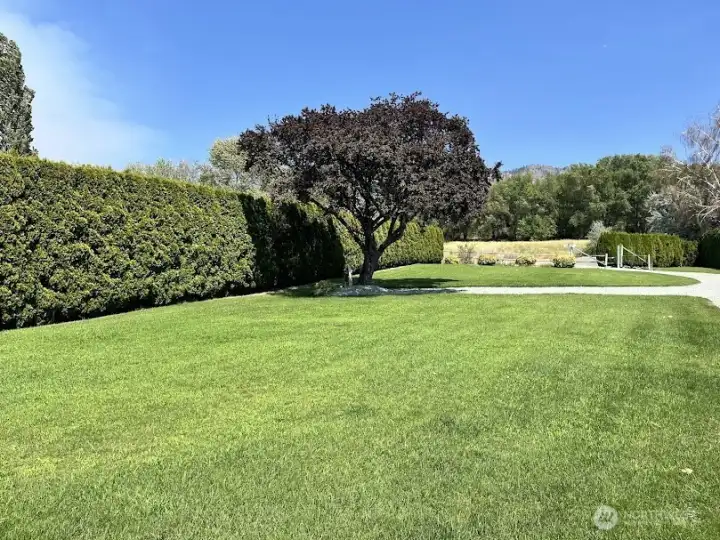 Front green lawn