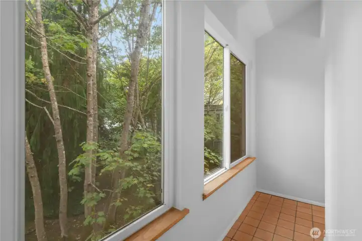 Sunroom behind fireplace- Great for plants!