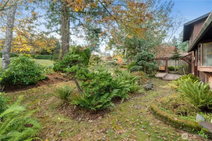 Classic Washington Fall Backyard.