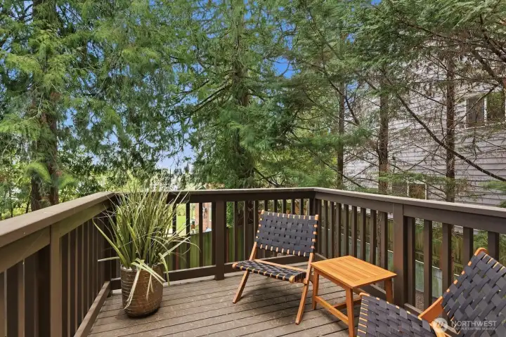 Enjoy gorgeous views off the Deck from the living room.
