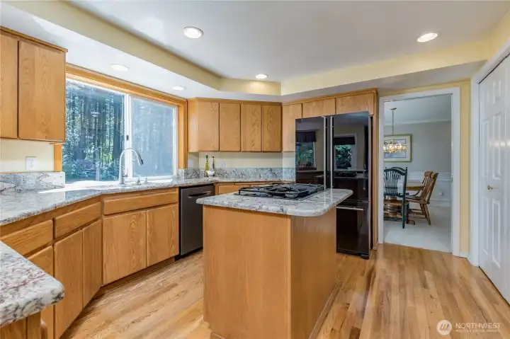 Chef's kitchen with updated appliances