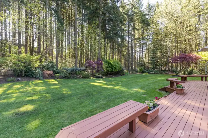 Lush, level backyard with automatic sprinklers and professionally-designed landscaping.