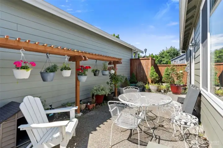 Fully Fenced Yard with Patio and Trellis Fully Fenced Yard with Patio and Trellis