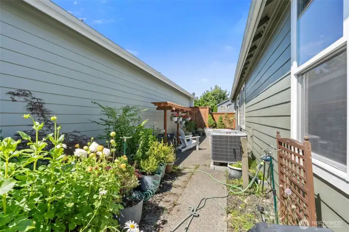 Side Yard with Lots of Space for Potted Gardening Side Yard with Lots of Space for Potted Gardening