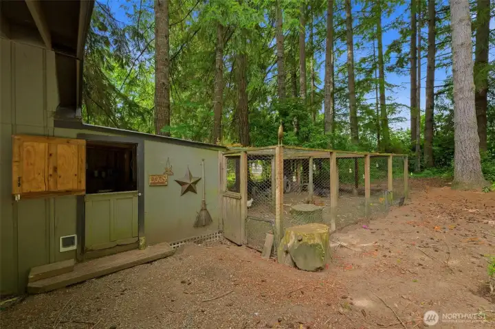 Established chicken coop ready for your fresh-egg homesteading dreams from day one. Established chicken coop ready for your fresh-egg homesteading dreams from day one.