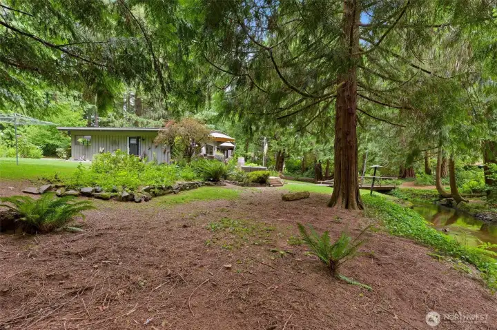 Natural privacy abounds throughout the serene, mature forest surrounding the property. Natural privacy abounds throughout the serene, mature forest surrounding the property.