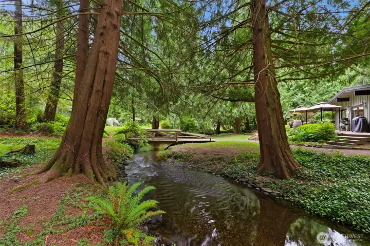A thriving natural habitat right at home, surrounded by pristine Washington forest. A thriving natural habitat right at home, surrounded by pristine Washington forest.