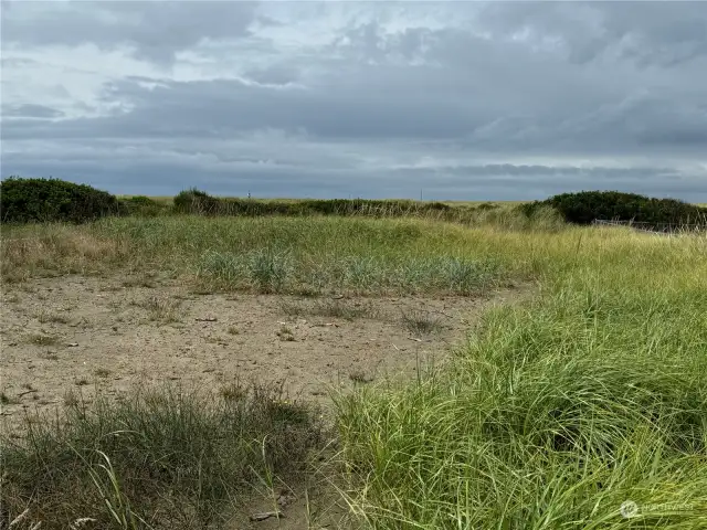 Start of the Dune Grasses at the Rear of Property.