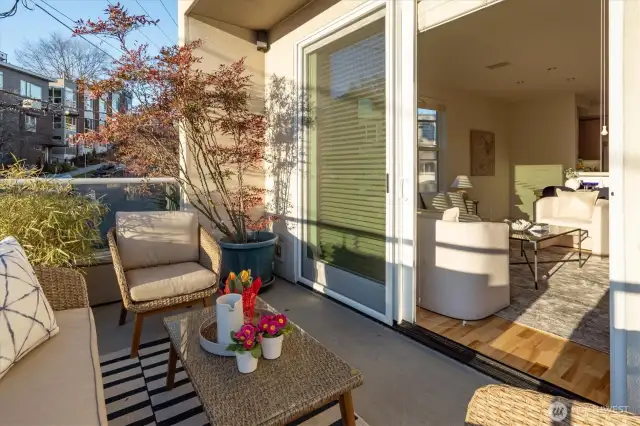 This private deck on the western side of the building has beautiful light in the afternoons. What more could you ask for in an Urban hide-away?