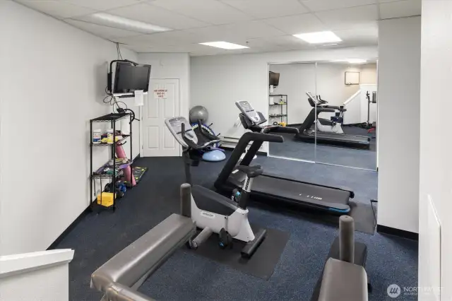 A surprise is the shared exercise room which is yours to use, located off the garage.