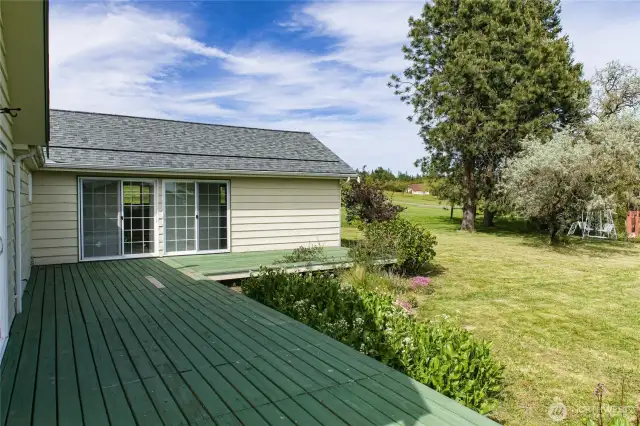 BACK DECK