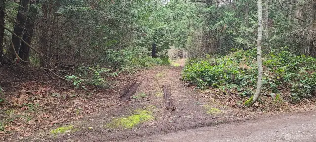 Driveway into the property