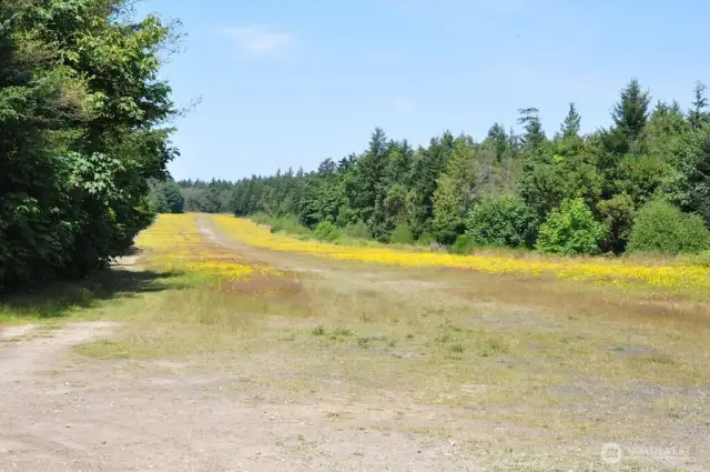 Landing strip