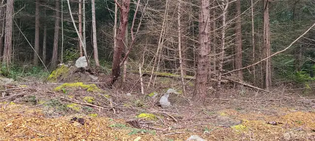 Clearing