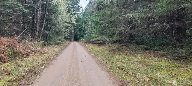 Mail Bay Road. East side of the land adjoins Mail bay Road.