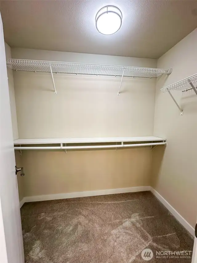Roomy walk-in closet with shelves