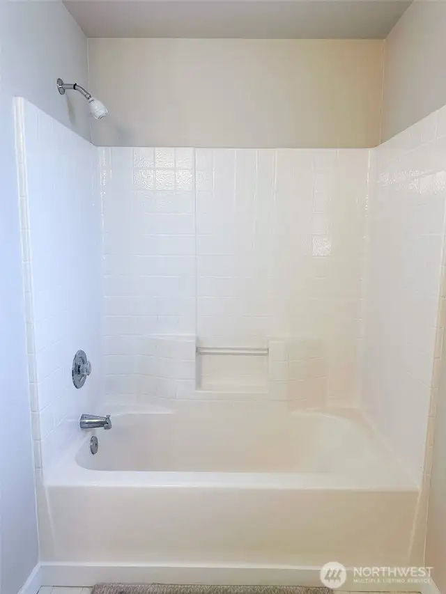 Tub/shower in the hall bath