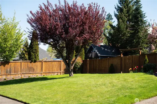 The front yard is huge and great for yard games