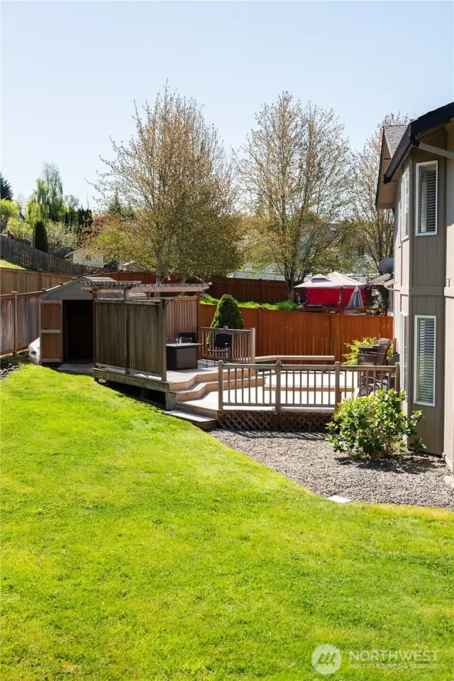 Another view of the large, fenced back yard with mature hydrangeas and other beautiful plants