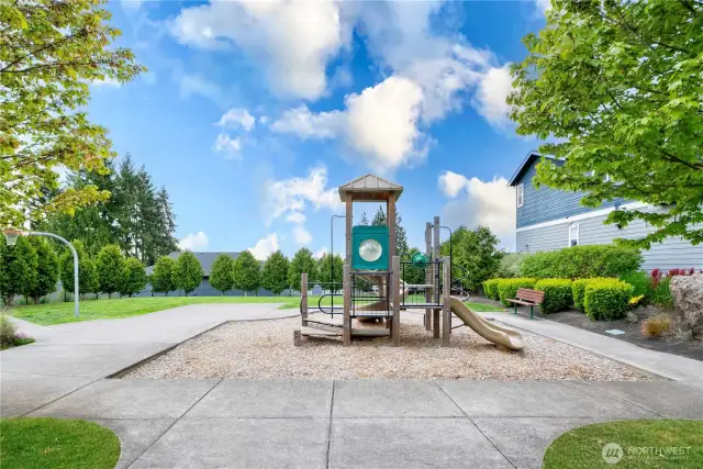 Community Park
