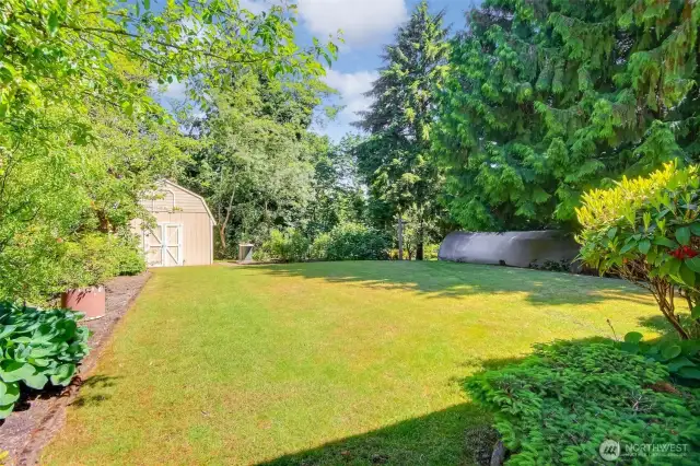 Garden with Shed