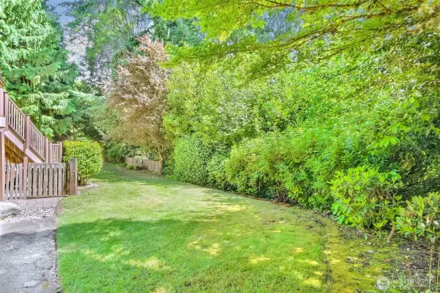 Extra Large side yard for parking boat, rv.