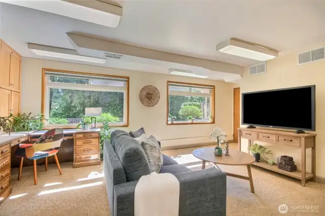 Basement Family Room