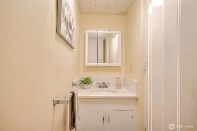 Bathroom in Basement