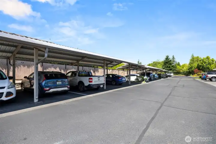 One covered parking comes with unit but plenty of guest parking for friends and family to visit.