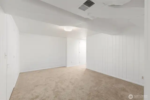 Family room on the lower level