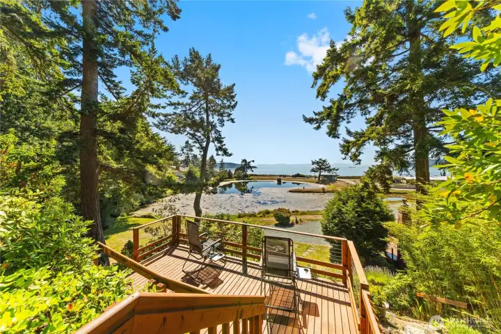Looking over the "C-Deck", through the trees, over the lake and to the Salish Sea.