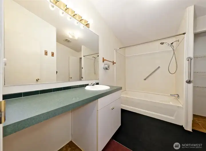Primary bathroom