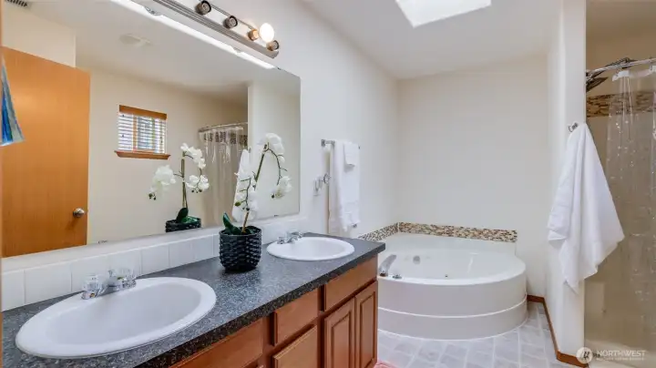 Double vanity sink provides ample space for two, offering convenience and style for busy mornings