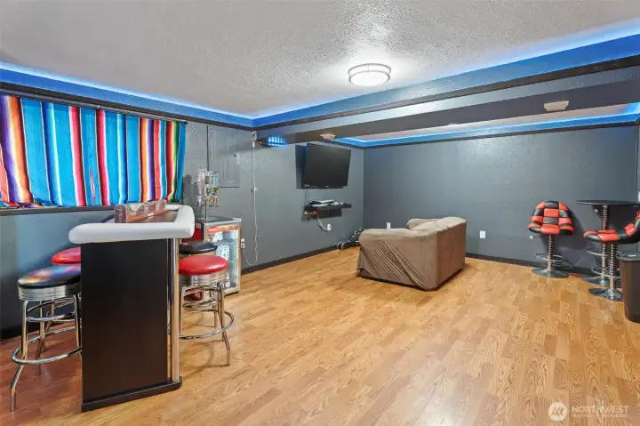 Downstairs media room