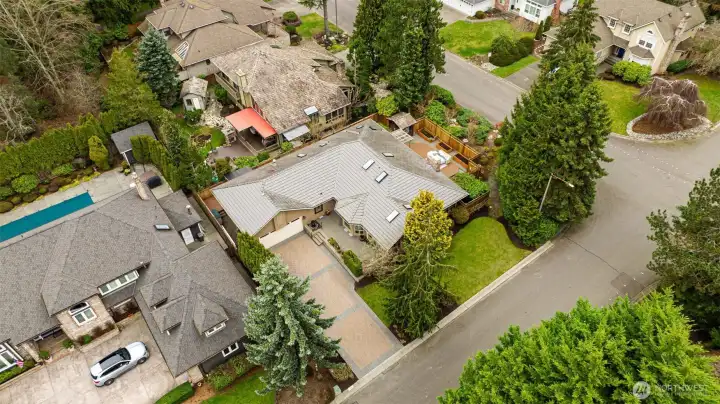 Beautiful Douglas Fir neighborhood.