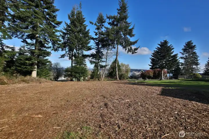 The view could be improved upon with some limbing of the trees along Saratoga Rd.