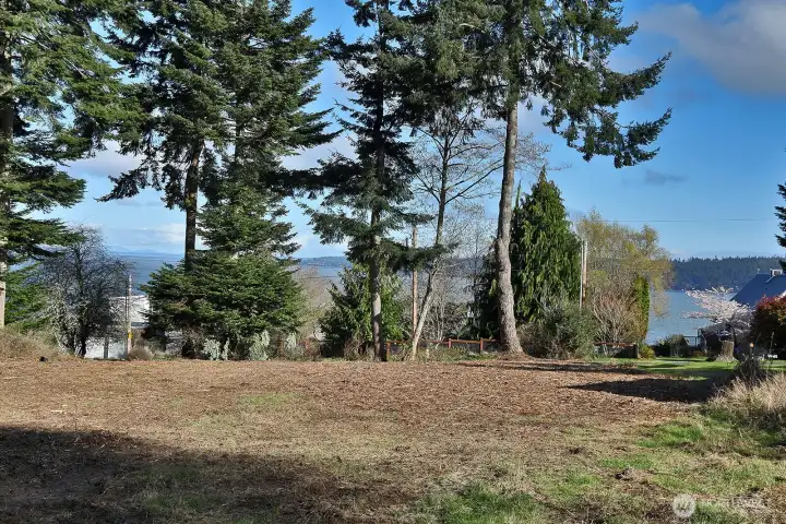 Lots of sunshine with this open space for your future enjoyment!